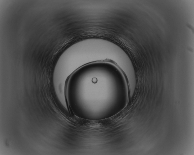 X0000092310456200710051241