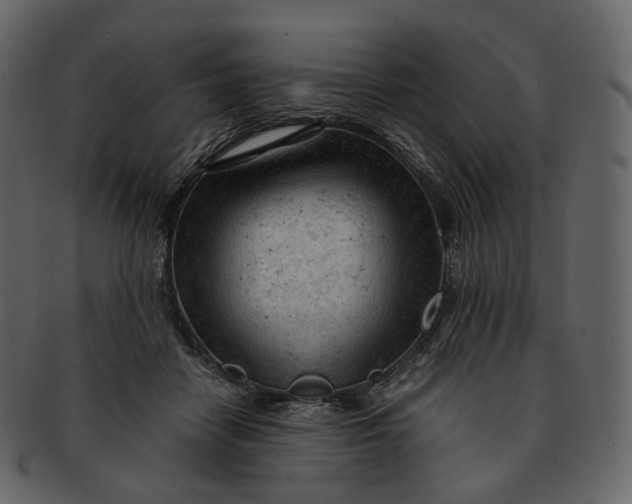 X0000092310458200710051241