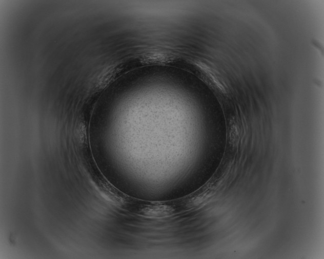 X0000092310459200710051241