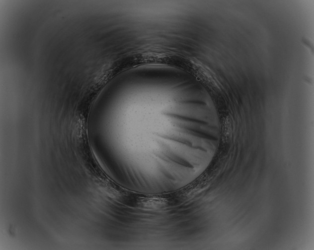 X0000092310463200710051241