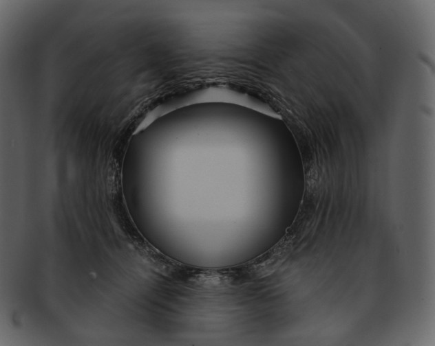 X0000092310464200710051241