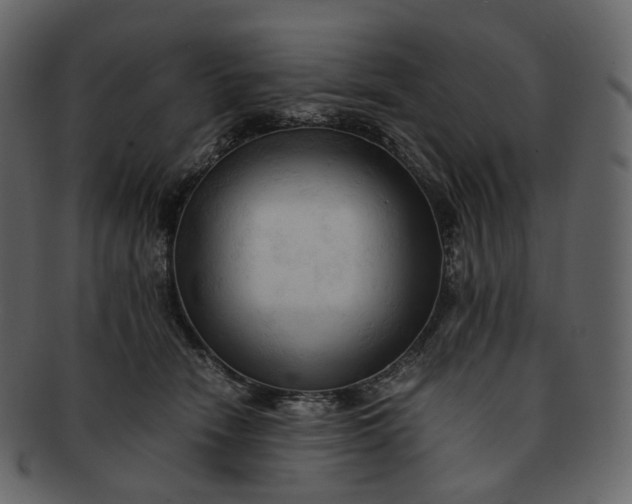 X0000092310466200710051241