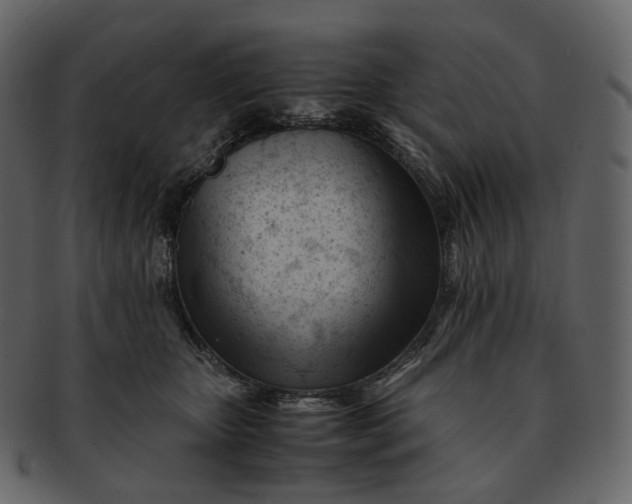 X0000092310467200710051241