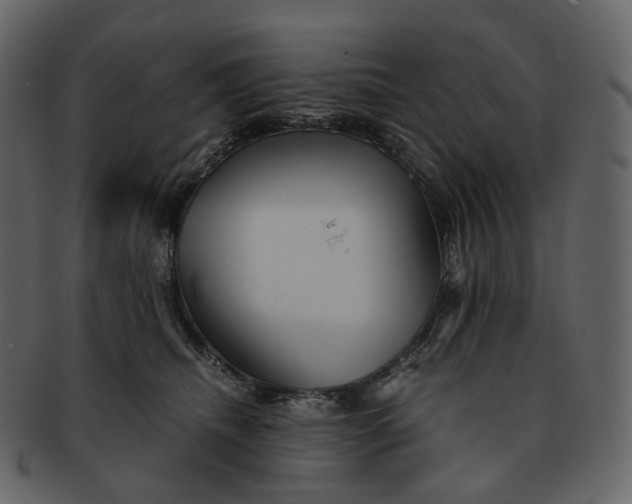 X0000092310468200710051241