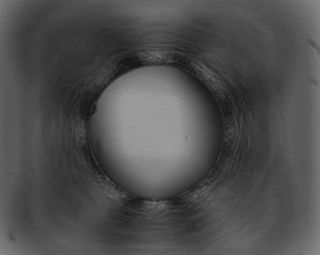 X0000092310469200710051241