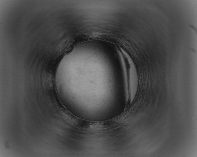 X0000092310470200710051242