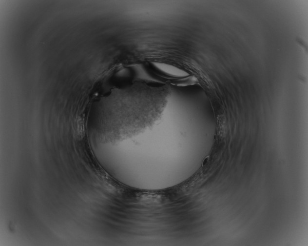 X0000092310471200710051242