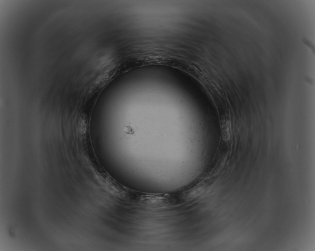X0000092310472200710051242