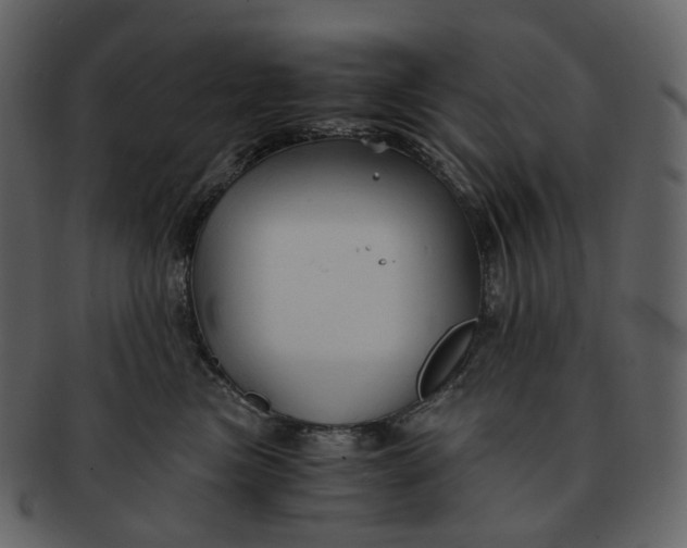 X0000092310473200710051242