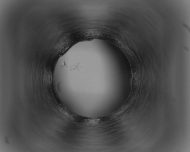 X0000092310474200710051242