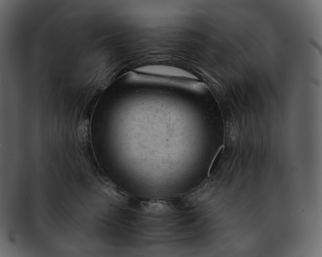 X0000092310475200710051242