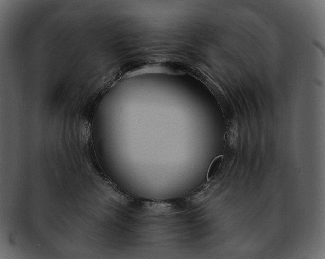X0000092310476200710051242