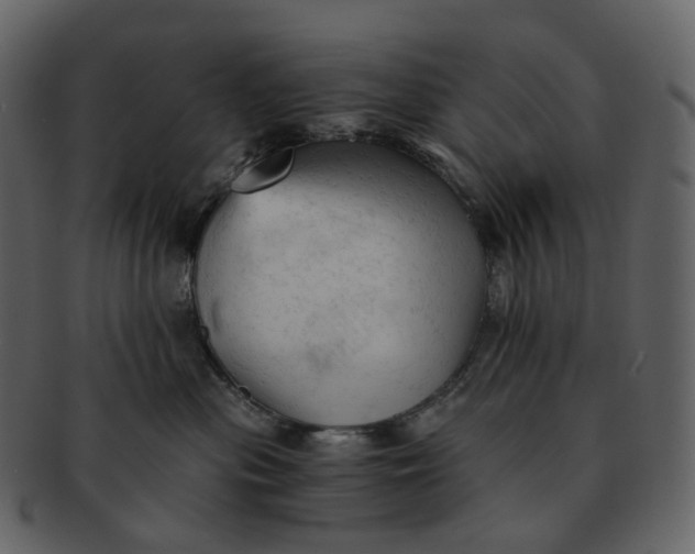 X0000092310477200710051242