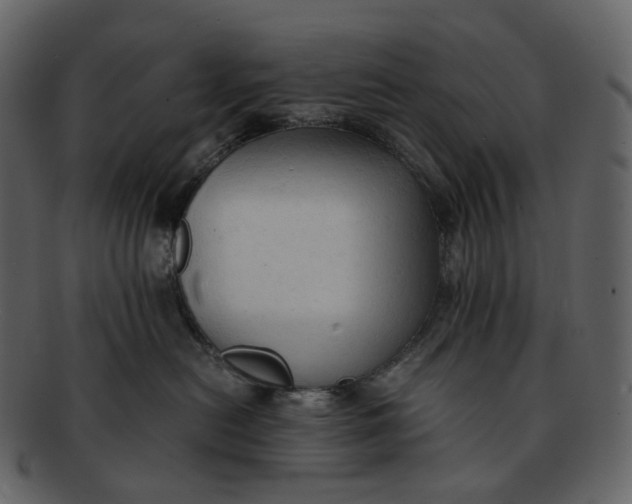 X0000092310478200710051242