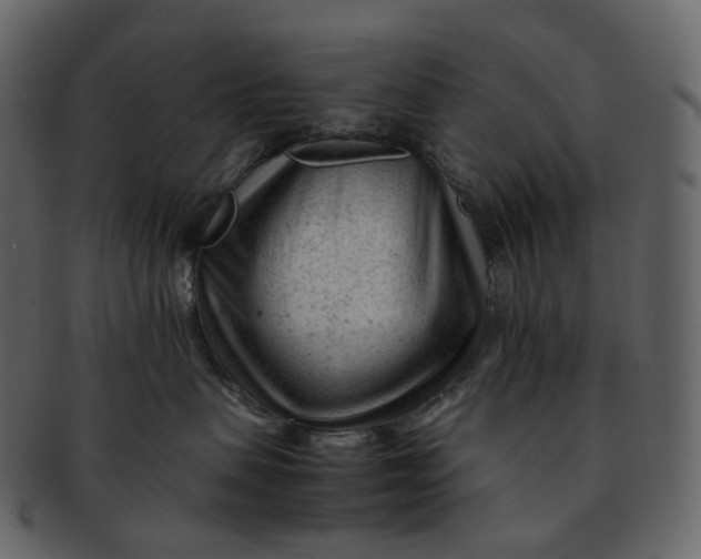 X0000092310479200710051242