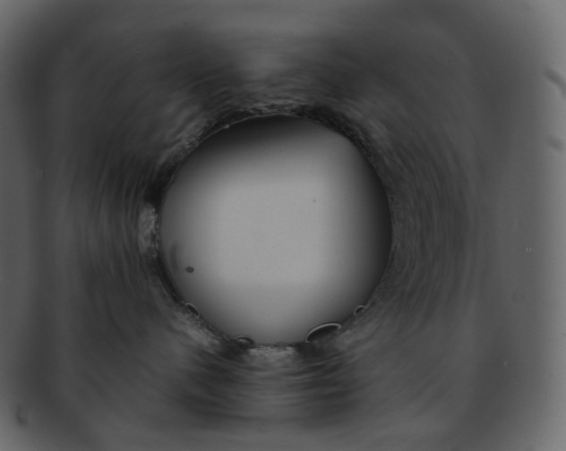 X0000092310480200710051242
