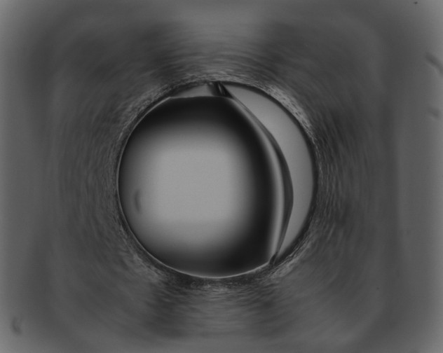 X0000092310481200710051241