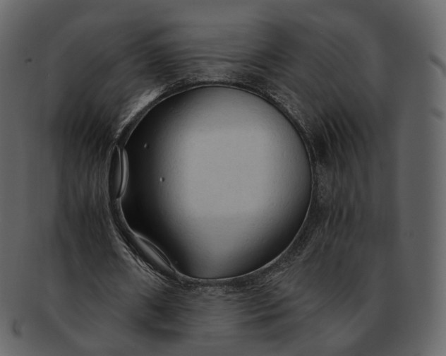 X0000092310482200710051241
