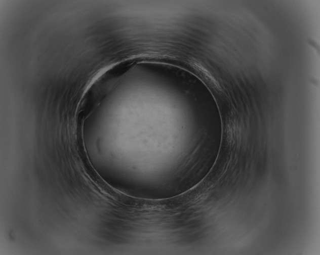 X0000092310484200710051241