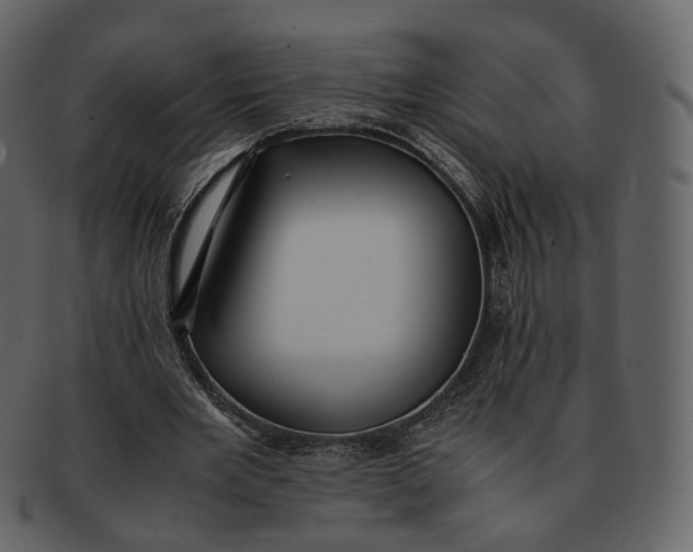 X0000092310485200710051241