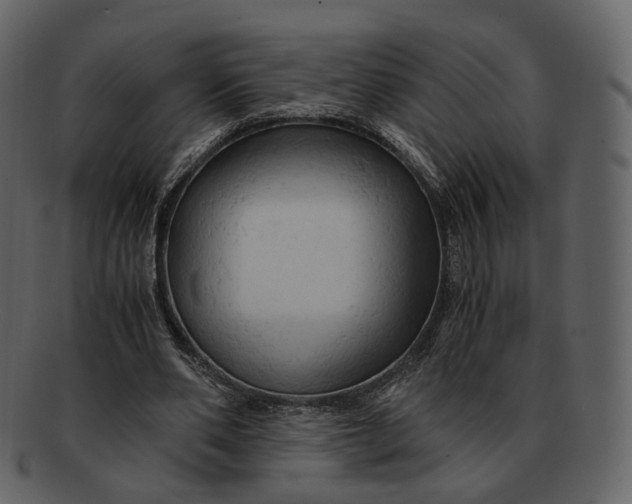 X0000092310486200710051241