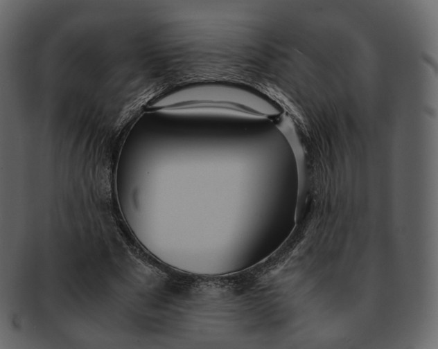X0000092310489200710051241