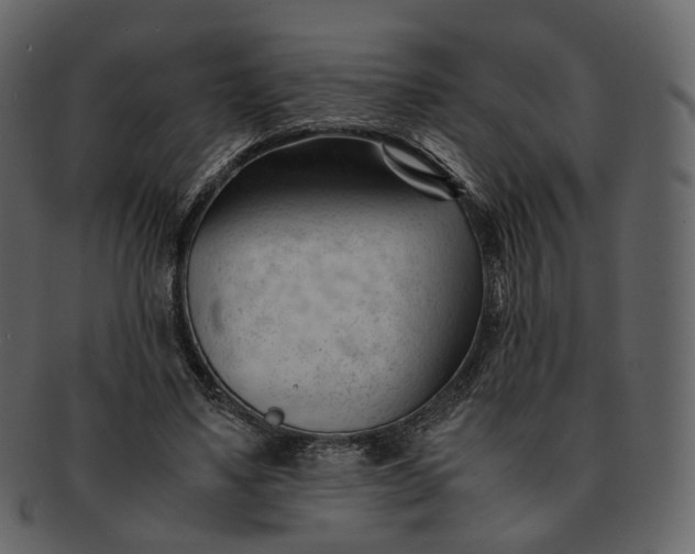 X0000092310491200710051241