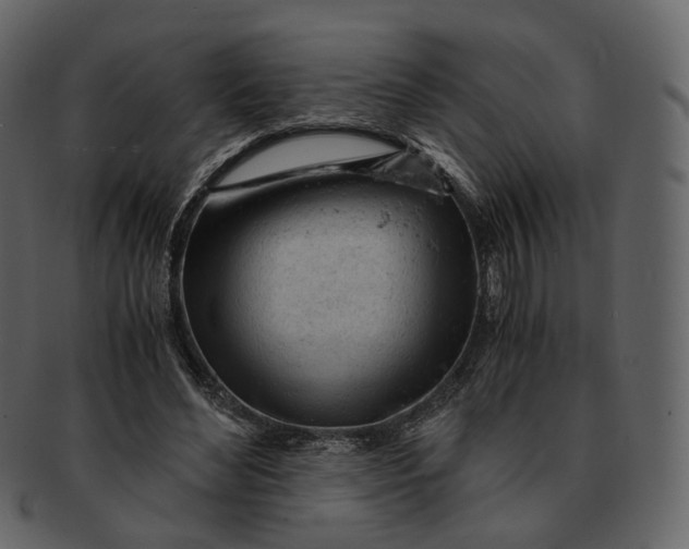 X0000092310492200710051241