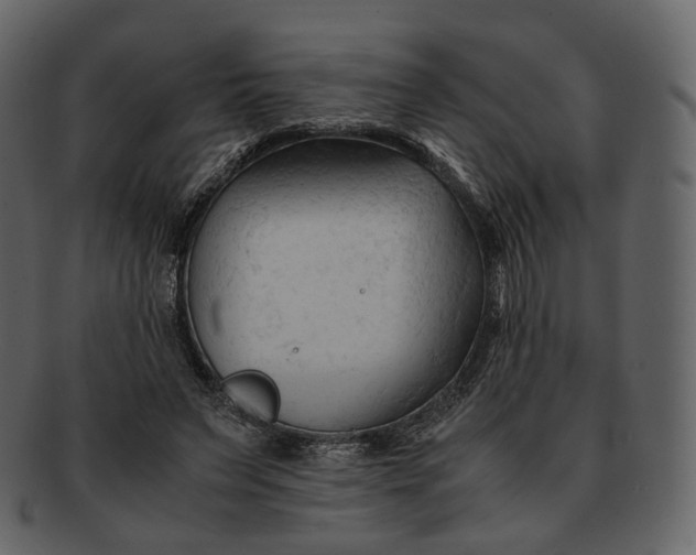 X0000092310495200710051241