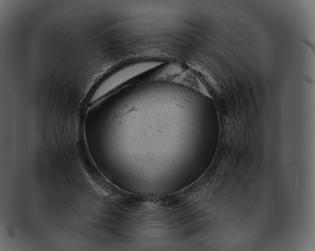X0000092310496200710051241