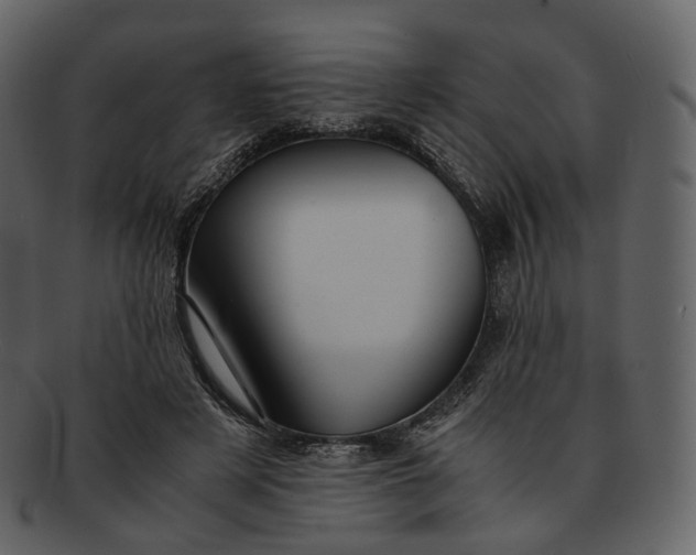 X0000092310497200710051241