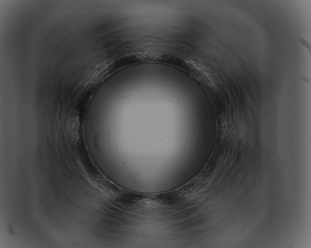 X0000092310498200710051241