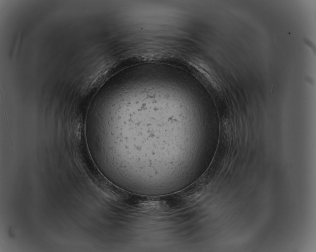 X0000092310499200710051241