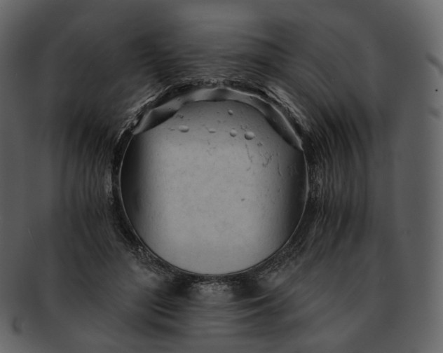X0000092310500200710051241