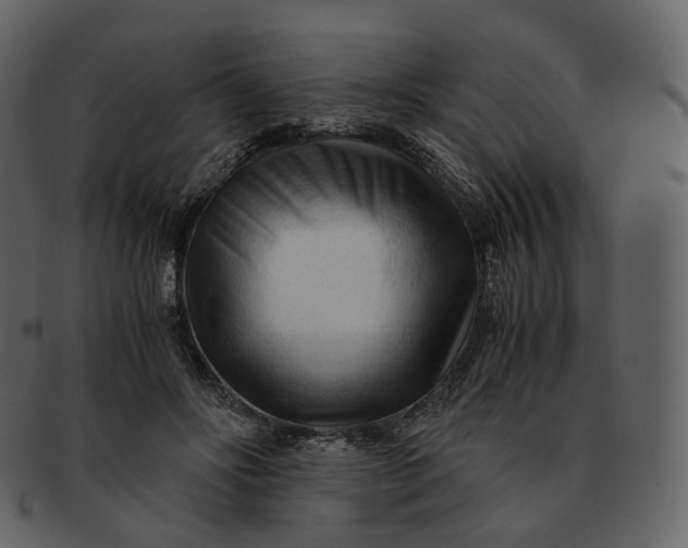 X0000092310502200710051241