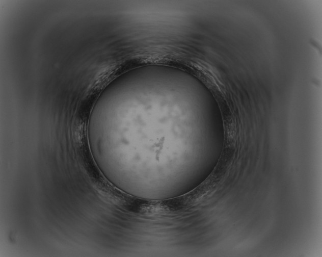 X0000092310503200710051241
