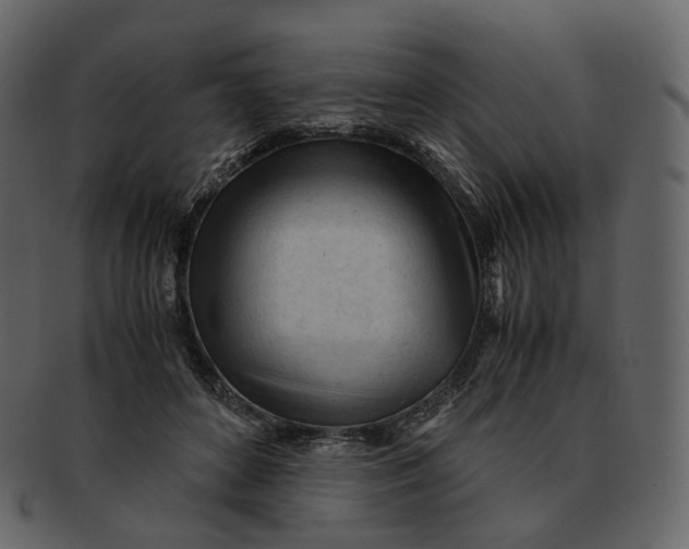 X0000092310504200710051241