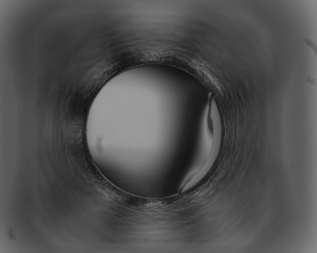 X0000092310505200710051241