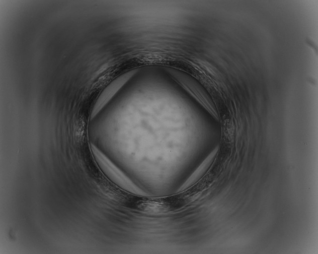 X0000092310507200710051241