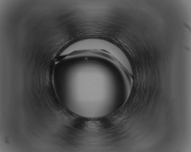 X0000092310508200710051241