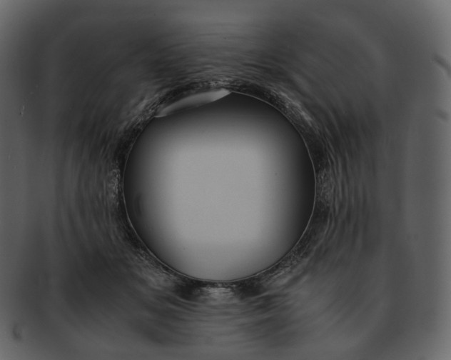 X0000092310509200710051241