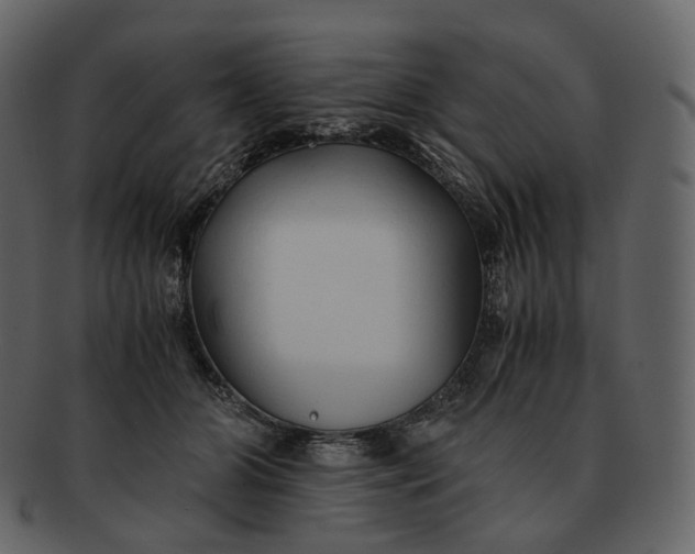 X0000092310510200710051241