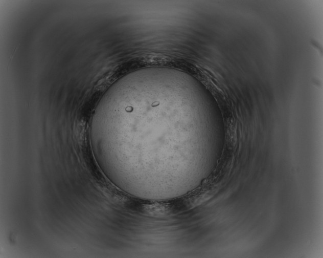 X0000092310511200710051241