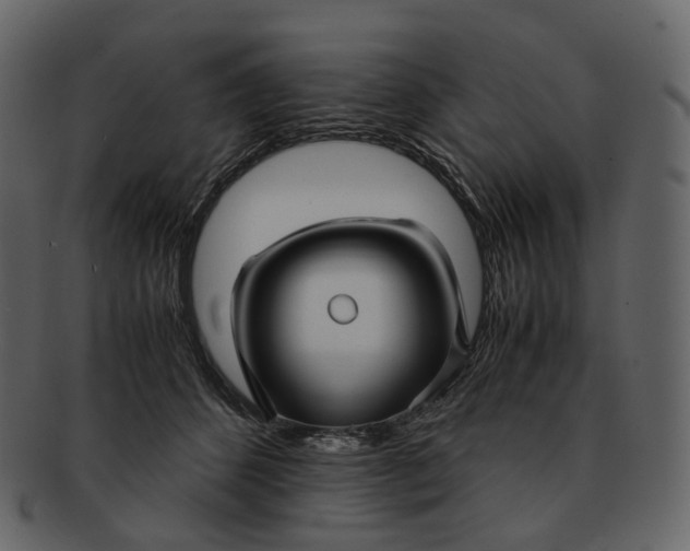 X0000092310512200710051241