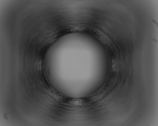 X0000092310514200710051241