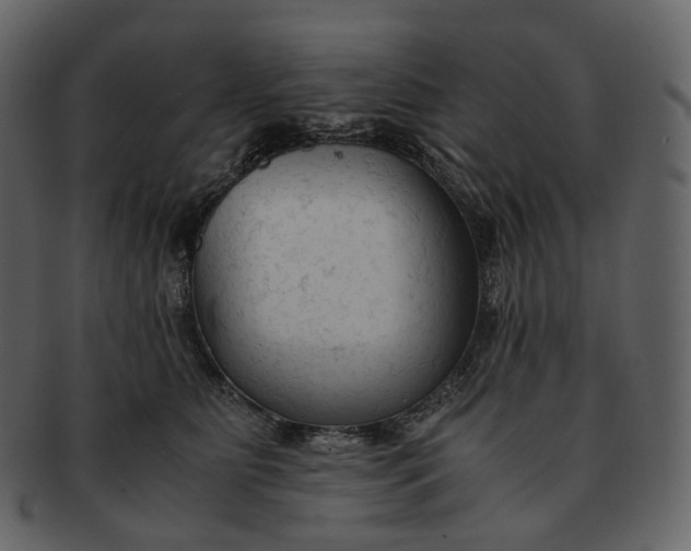 X0000092310515200710051241