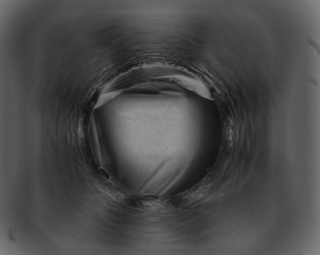 X0000092310516200710051241