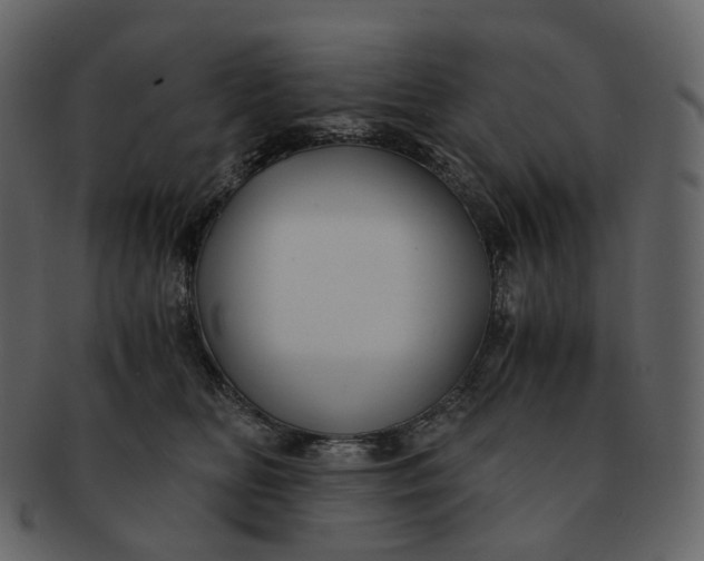 X0000092310518200710051241