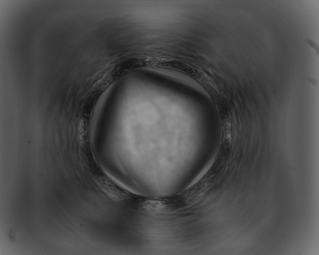 X0000092310519200710051241