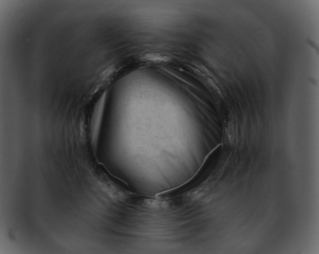 X0000092310520200710051241